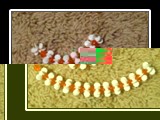 Necklace and Bracelet
Nov 2012
