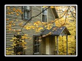 U.P. Fall